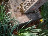 image of grave number 208636